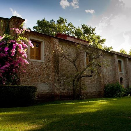 Estancia Monte Viejo براندسين المظهر الخارجي الصورة