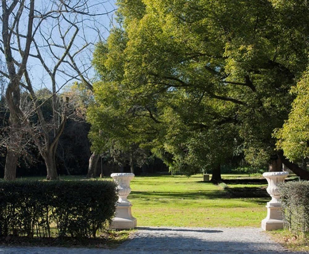 Estancia Monte Viejo براندسين المظهر الخارجي الصورة